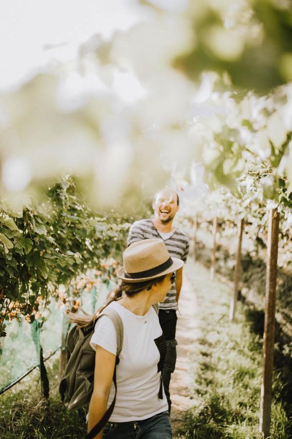 Baecksteinerhof Farm stay *
